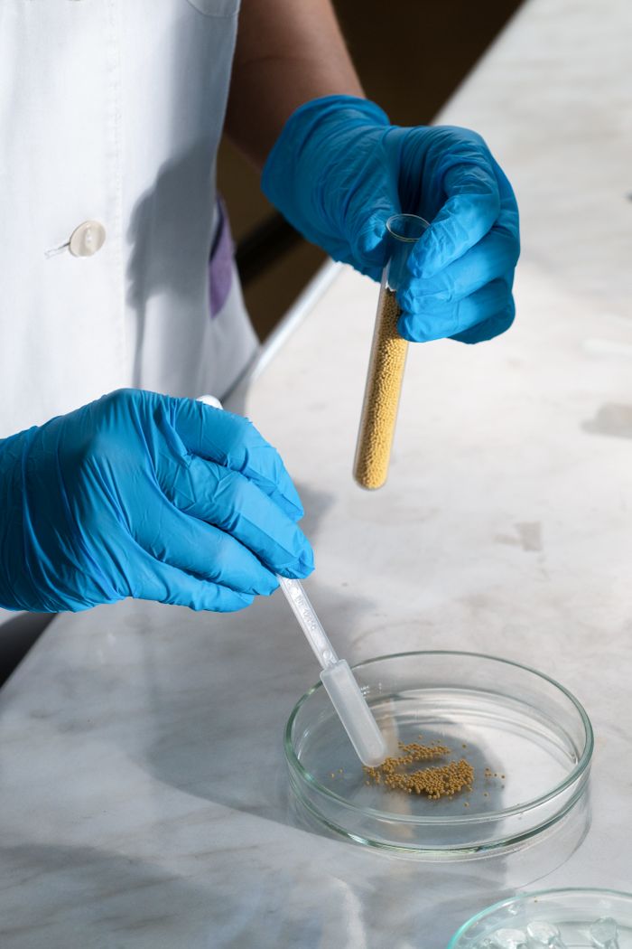 A scientist in blue gloves conducting an experiment with a test tube and petri dish, focusing on safety and precision.